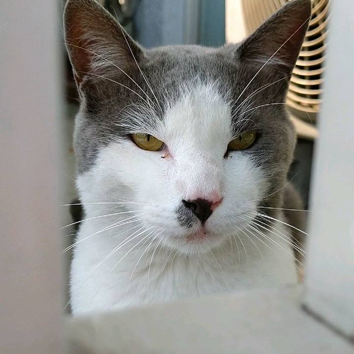 E1697ed2 f750 4d26 af25 a8393af076b4 1597793000766