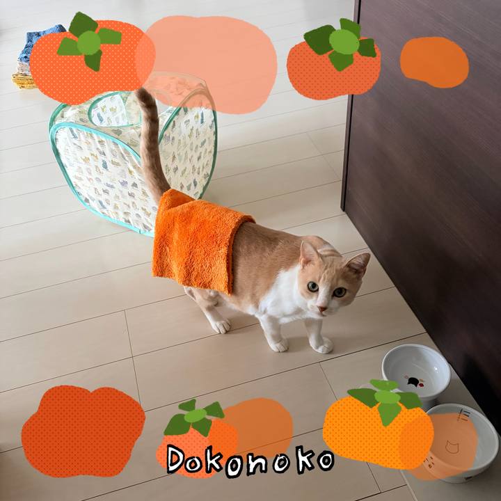 E169d60a 23d1 497d bd76 c6113c897dc9 1761262938624