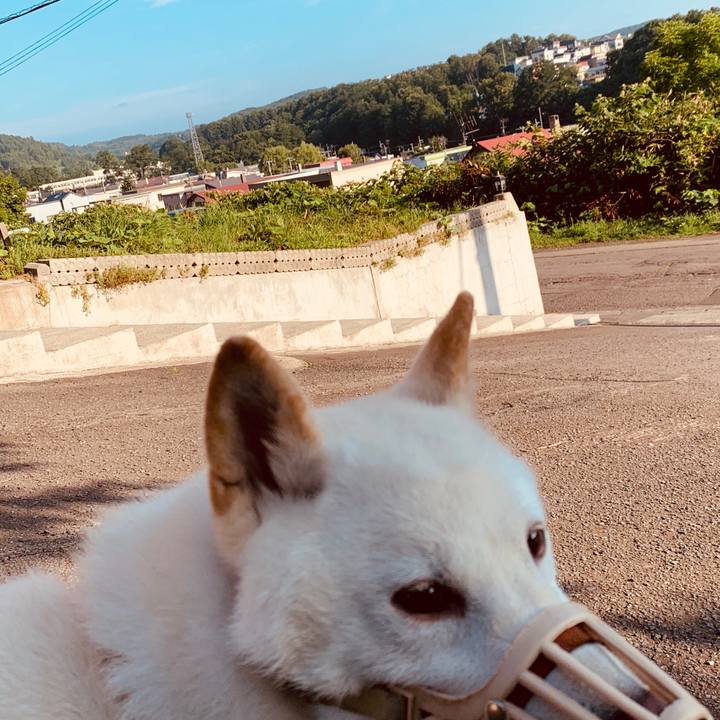 E169ddd6 6437 49ba 8b59 06408c08a0e7 1564351578905