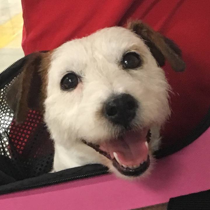 E16a0270 d3a9 4956 8797 80165c267729 1532785322167