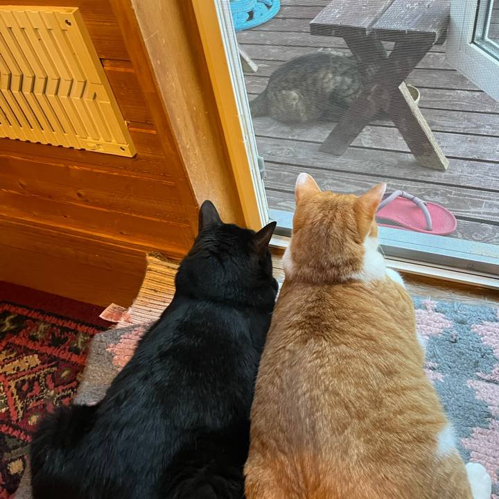 E16a3dc3 00ee 43d9 acc6 39e69a932db1 1692866546258