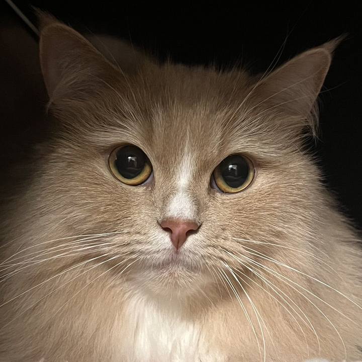 E16a8076 aac6 48e0 ad2f 08f03254bc3b 1685192873050