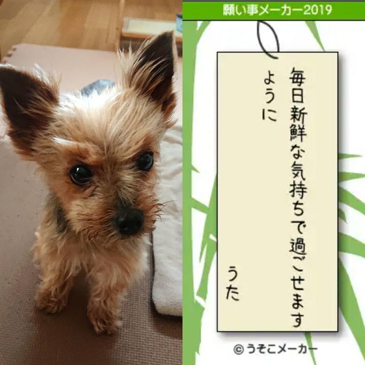 E16acbd2 8768 4040 aa36 81df1dcff92f 1562502639462