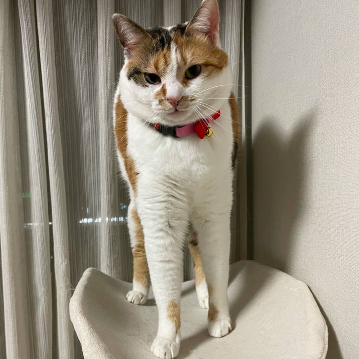 E16adee6 2d50 4532 8092 5b835af5e94f 1615291266995