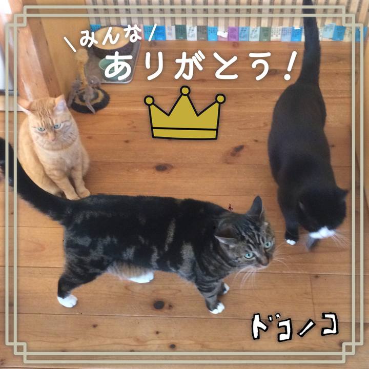 E16af6c3 713c 4f2e 9ec5 550a24ba372b 1622886301664