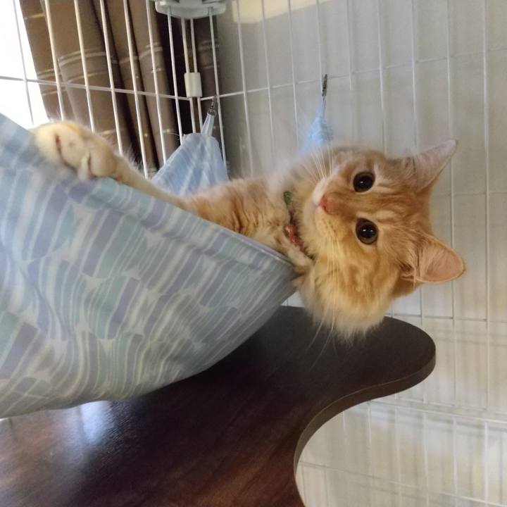 E16b3601 30a9 41df 9b40 1d347c28e6bd 1631952043940