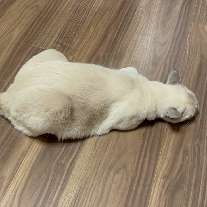 E16b4ee4 d661 426e adc4 b44dd4b2177a 1740313255427