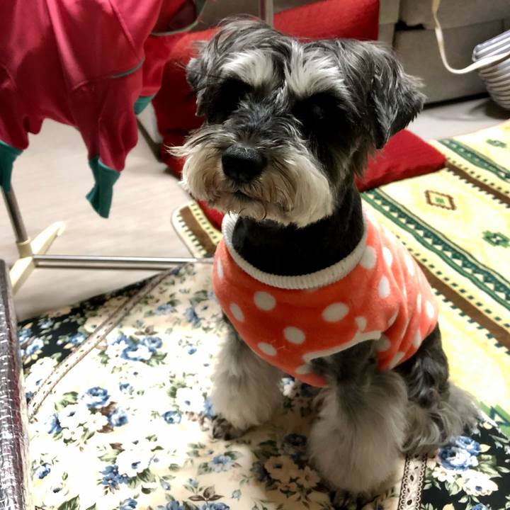 E16b7275 f9a2 4682 b44e 2b3a822255f5 1649337041877