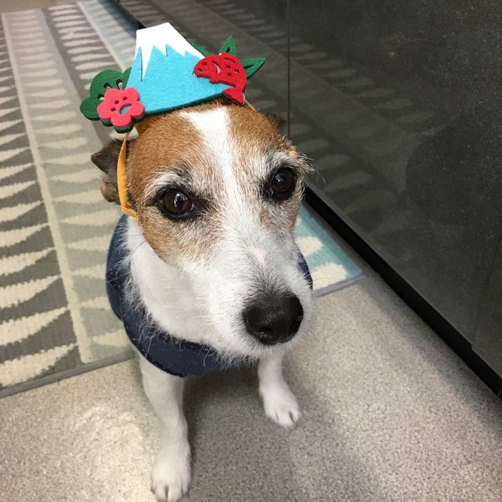 E16b75eb fd3b 4d69 87ef e3cd24edae66 1577845638570