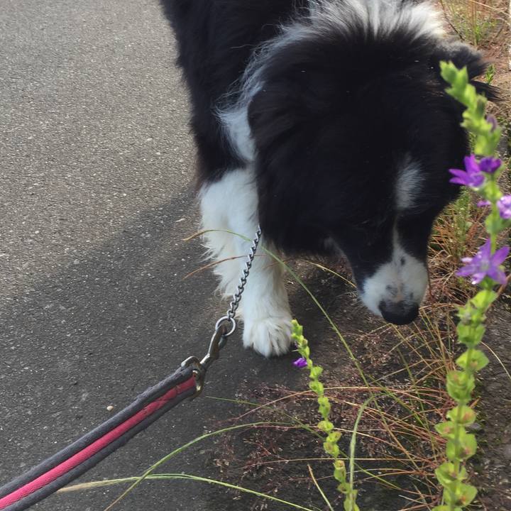 E16b8c3f bf3c 47cb 87ec a60a4a1e4e9f 1558396731588