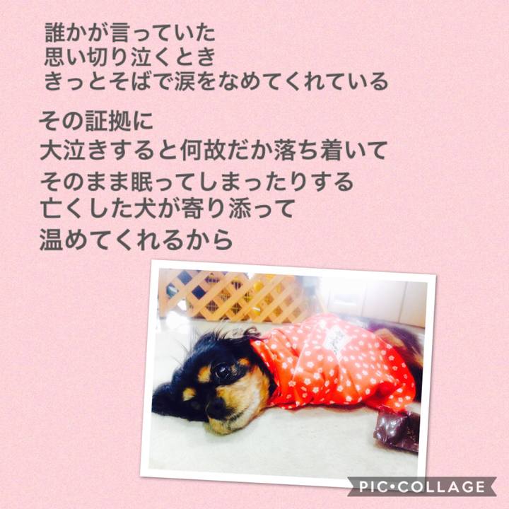 E16bb256 ae60 4508 a1f6 f7b9ad8db586 1531921153214