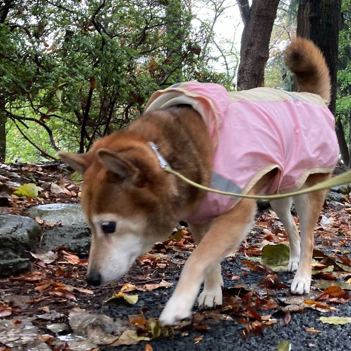 E16bda39 b055 4bf6 8454 623d0f7d81fd 1634878760893