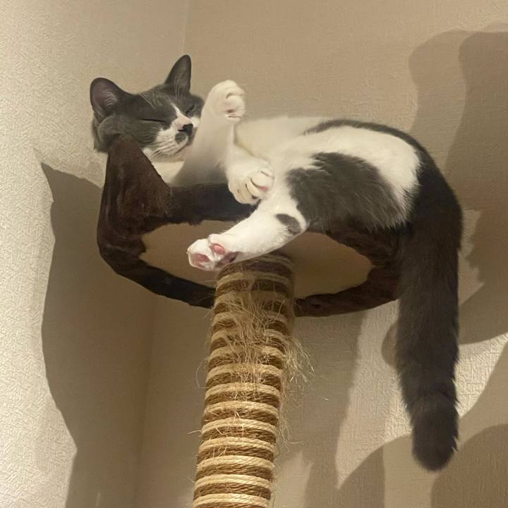 E16bfd07 583b 4e9a a588 24ce523d6131 1729958514166