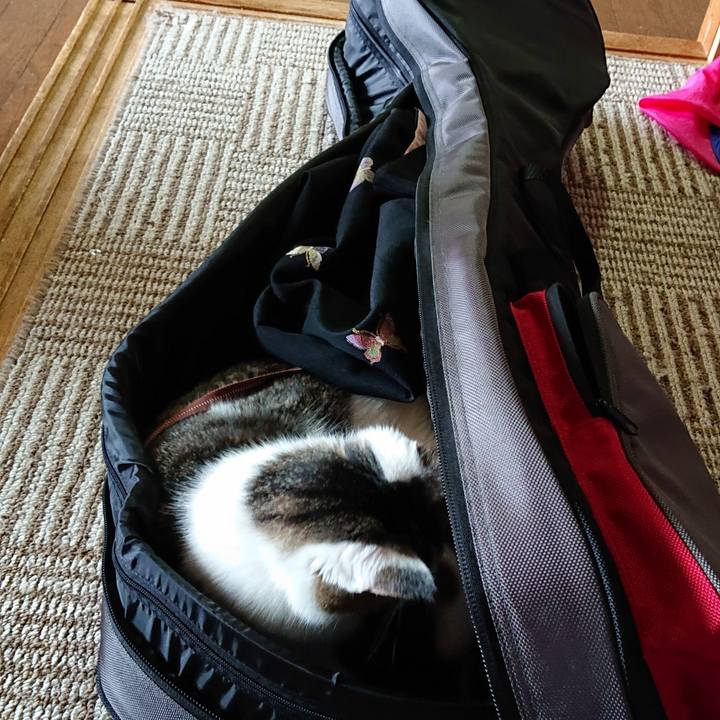 E16c0364 b830 4e94 8a08 c3cec068e015 1559892063024