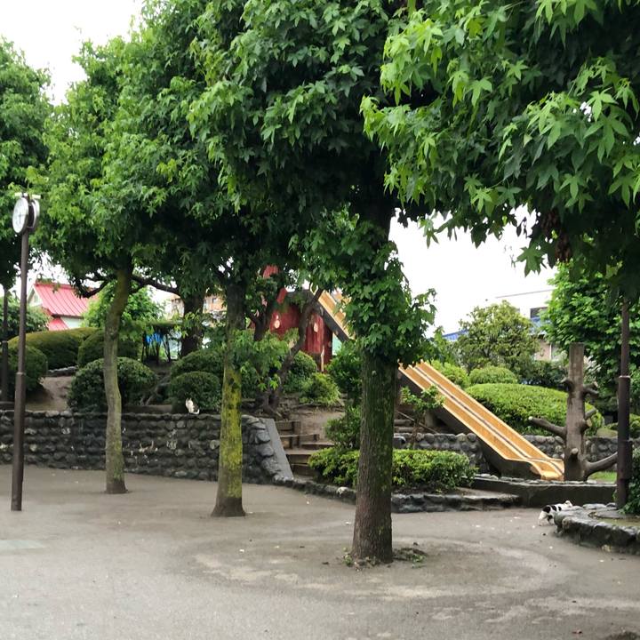 E16c3461 536b 4ecc 9217 39c5af9a6589 1529497575885