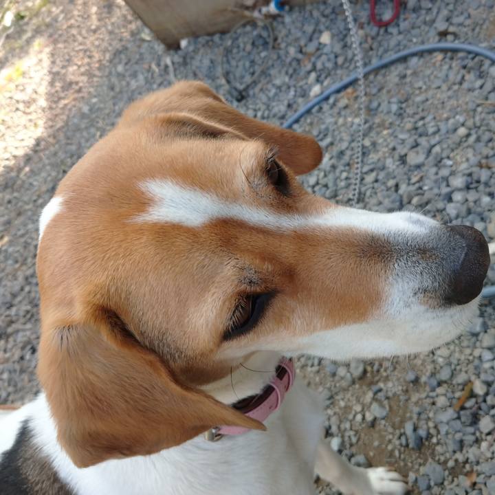 E16c9ce9 7ace 46f0 b115 bb904f03a8bb 1584601343043