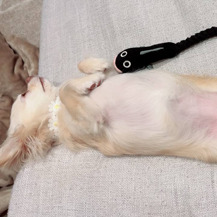 E16ca695 0d69 4301 8437 33cd2065cbcc 1713359840204