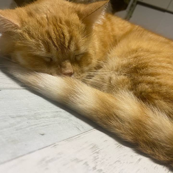 E16ce46b 0fac 48d3 bd12 95373dc850a4 1628960063053