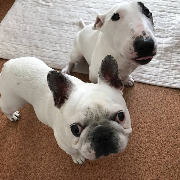 E16cf9f2 bb0e 439a 9d36 521777acb712 1509756135675