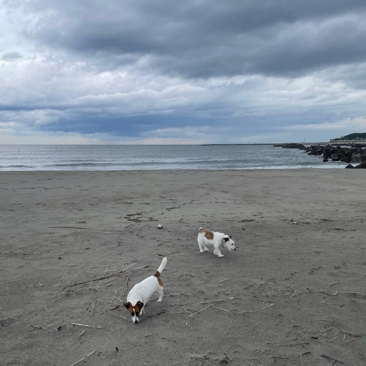 E16cfa47 0a0c 4c2f ba25 a07f2901c3ba 1761090934017