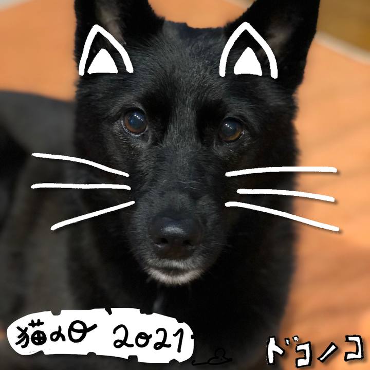 E16d23a5 ef01 4513 a21e ec7822c9d830 1613966557206