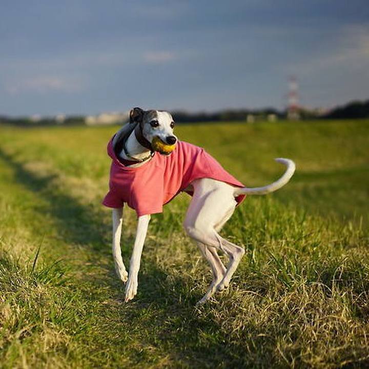 E16d3388 b471 422a 96e2 1fbe6c7b2522 1525258647043