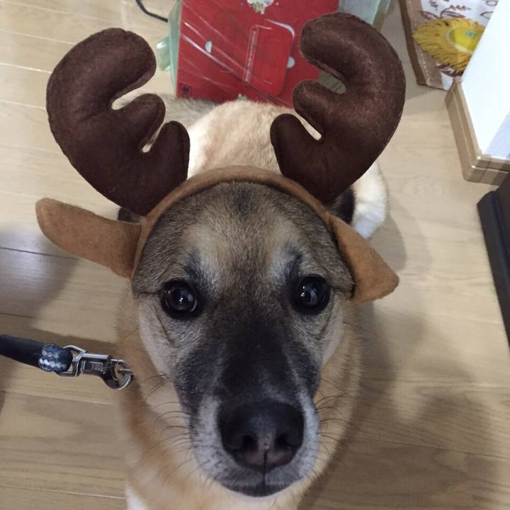 E16d33a8 2d14 4513 abd6 cda42fc89fa5 1513853301888