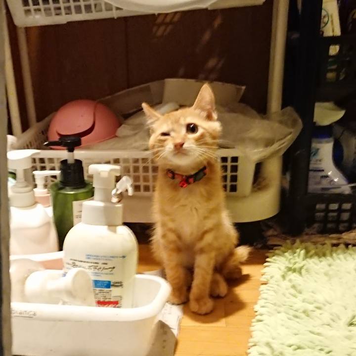 E16de636 409c 40c4 9b7d e48810300981 1631355744113