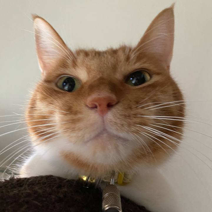 E16df048 251c 4d9b 9af4 61c83f8c819c 1601263128040