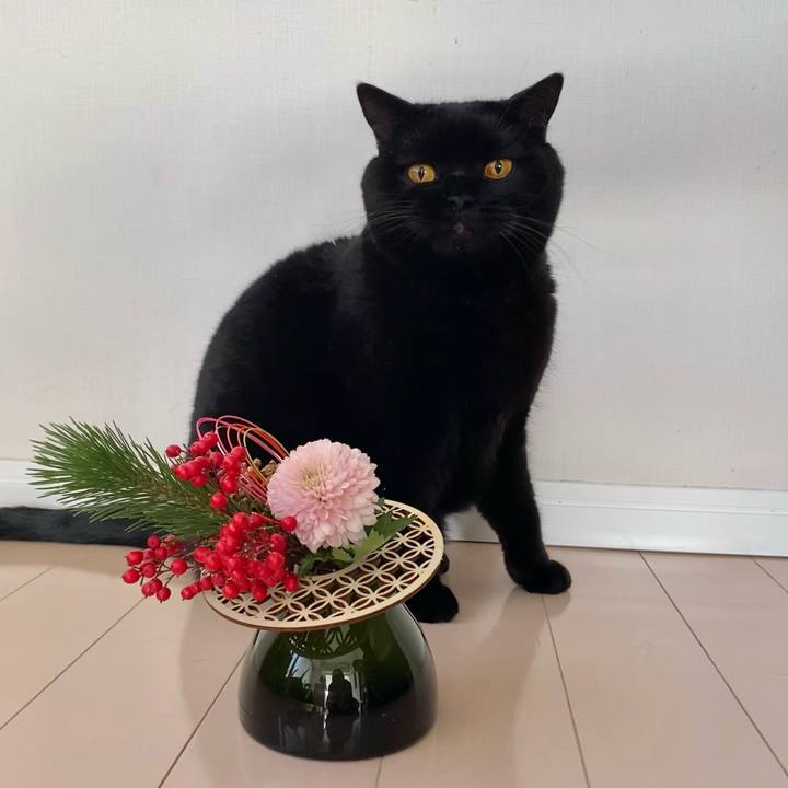 E16df152 3242 4000 9051 95f4a4d11f4e 1672529420131