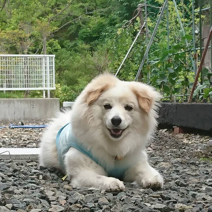 E16e3230 73c9 41b8 b53e 4d8cb630ac9d 1527715937972