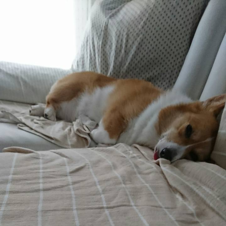 E16eab4c 6570 4659 bbcb e6fed992de9a 1533792341994