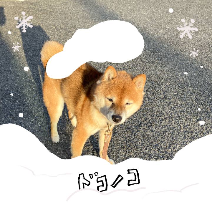 E16ec517 63fc 4f0b bed5 59adce3296af 1771942467881