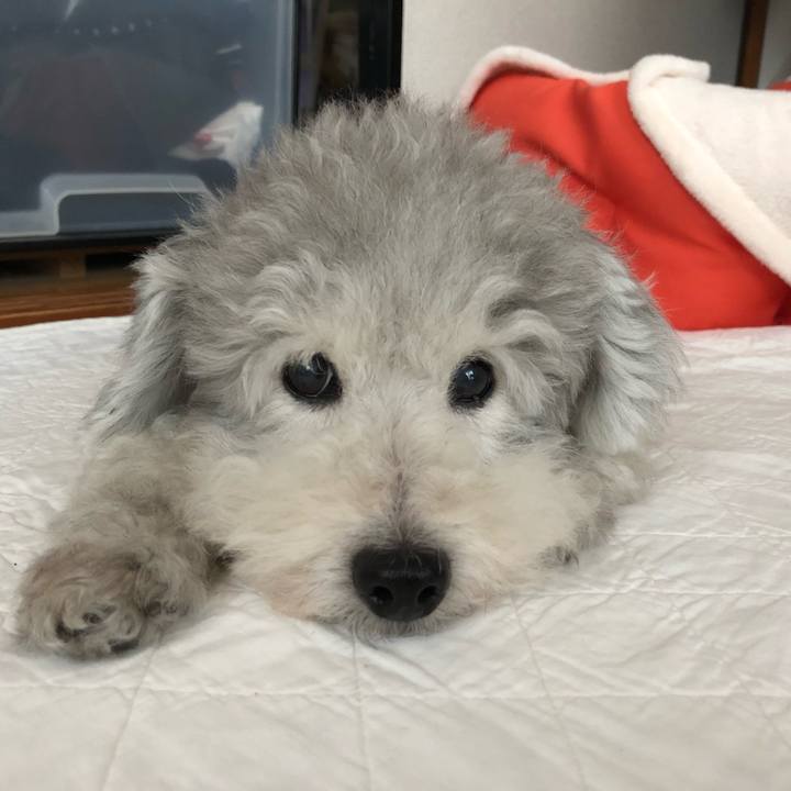 E16ee9ba 4dec 4451 8813 3fb2301e4981 1538271813161