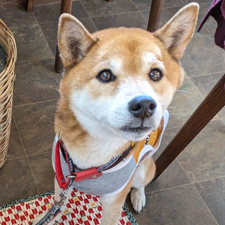 E16ef134 9410 4a89 81b0 e0106984d992 1703922323015