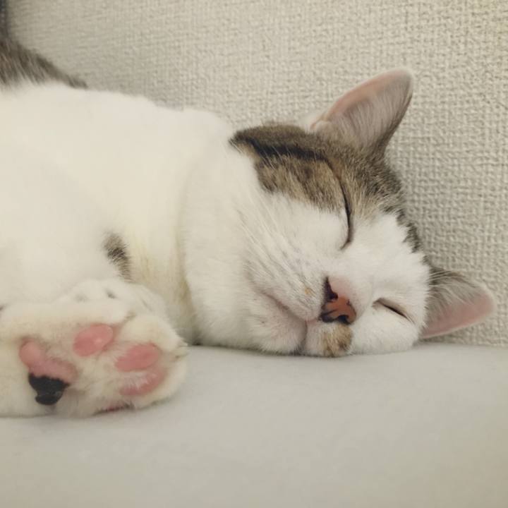 E16f13d4 9032 438d 876f df5d3e649ec4 1536548723289