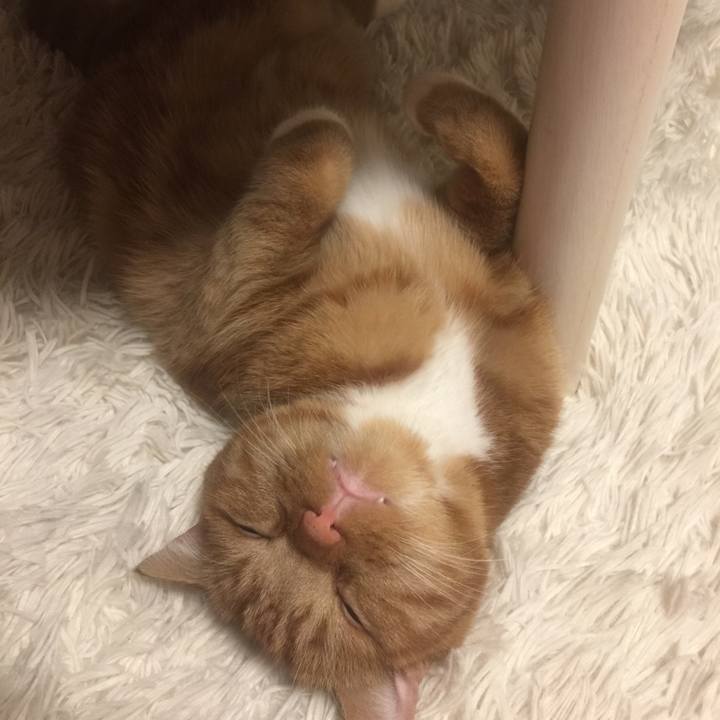 E16f1ddc a346 4e5c b6bd d190209213ec 1530849853744