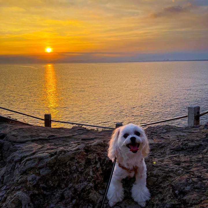 E16f8c26 44e2 4f41 9ae4 56f45140dfa0 1664442722143