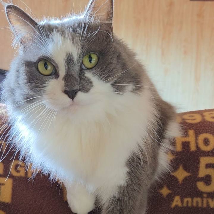 E16fa12f d327 44fb ad89 f0b1b266f2ea 1769924825983