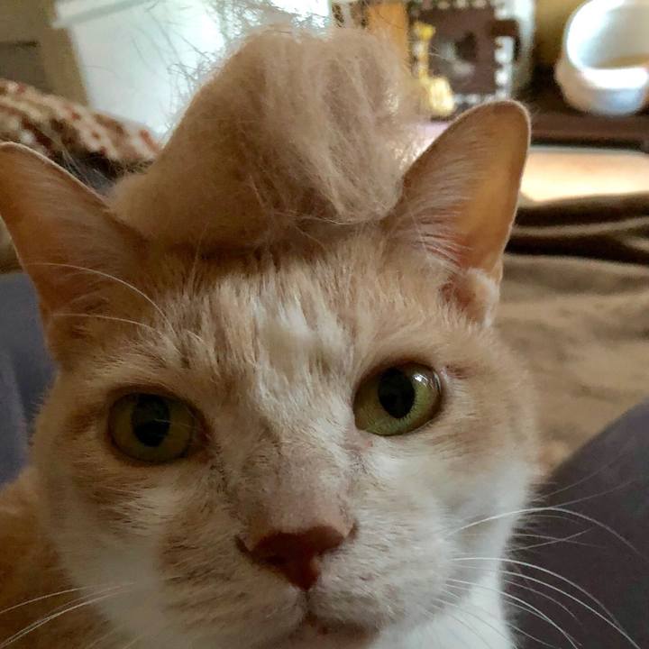 E16fc3dd b18f 4cd8 a53f 75e9b7cd3685 1518424171391