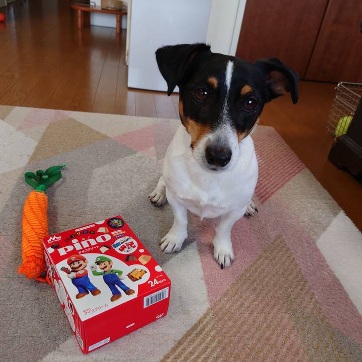 E16fcfb9 d550 41d4 82af 5ab080c64238 1684415307760