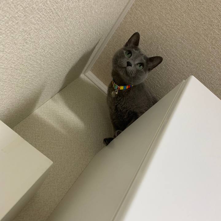 E16fd156 bb8b 4cd6 bc9c 9da29176955b 1675556614829