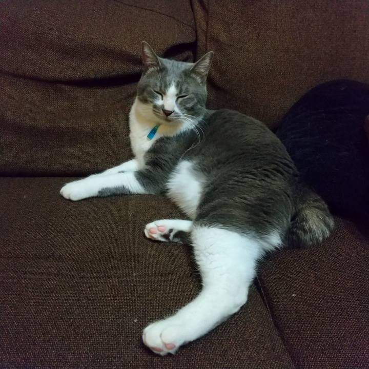 E16fd62f f866 4424 8e8b ff0b249e282e 1641032891274