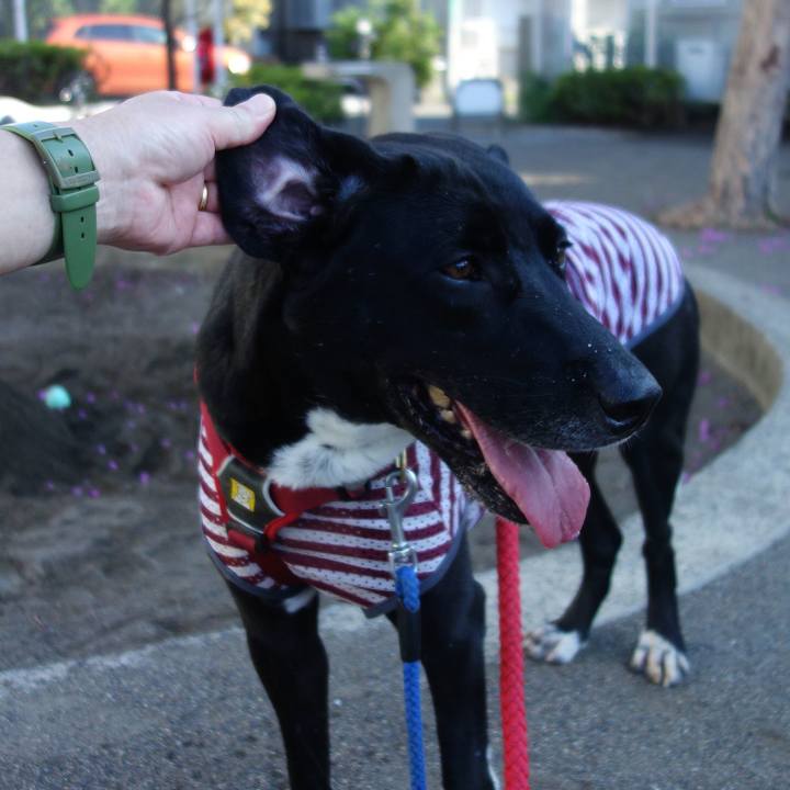 E16fd823 418e 4575 93c1 9df35ecb21f2 1599263427455