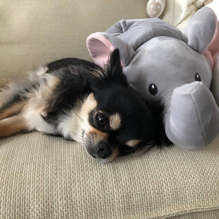 E16fec39 7a64 4ff2 8a04 c537f169fffc 1588581901766