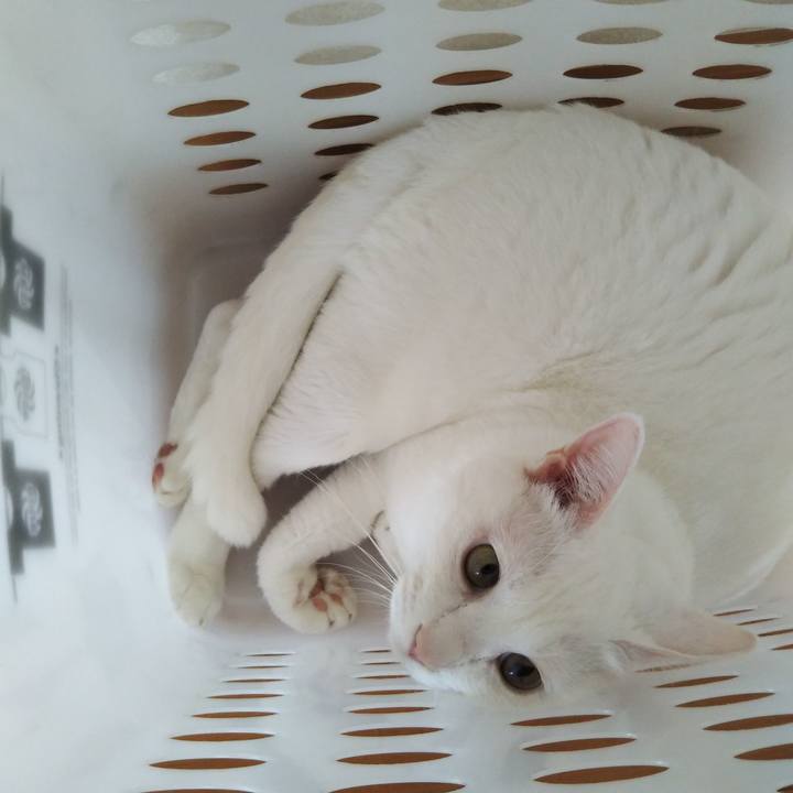 E16ff54b 85b7 4499 b6dc 2269a4f44272 1570334780383