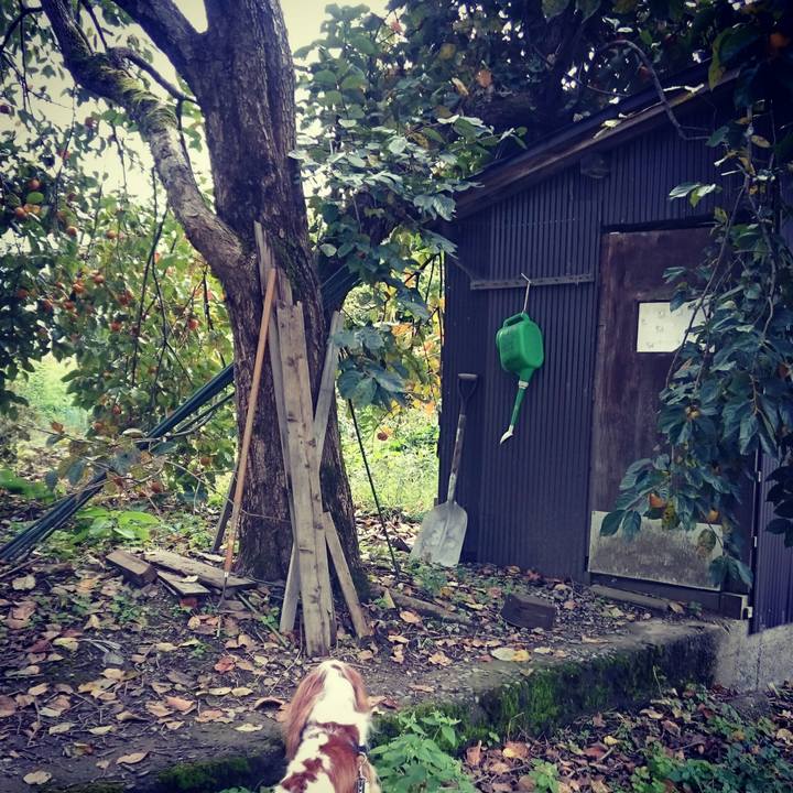 E16ffe24 0726 4be6 bf6e 7d2091de992f 1539775767932