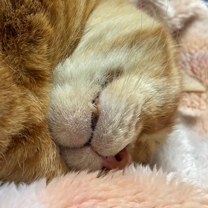 E1701585 3e6f 4676 ad82 83c3280077fc 1768728322516