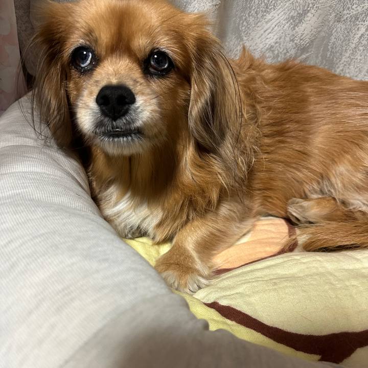 E1701ccb daab 4f37 a9a4 e21751d0d420 1700082859133