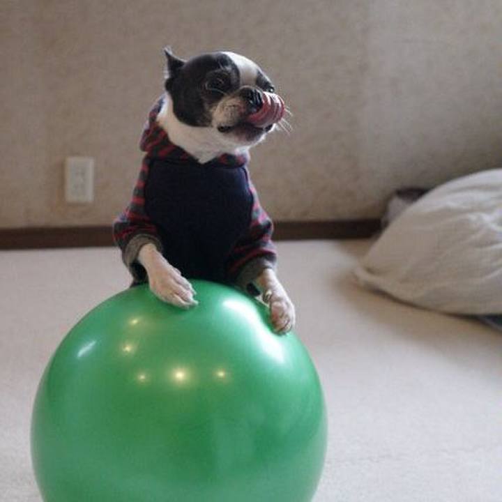 E1702890 5166 4a95 ab57 8795d3409232 1544845120032